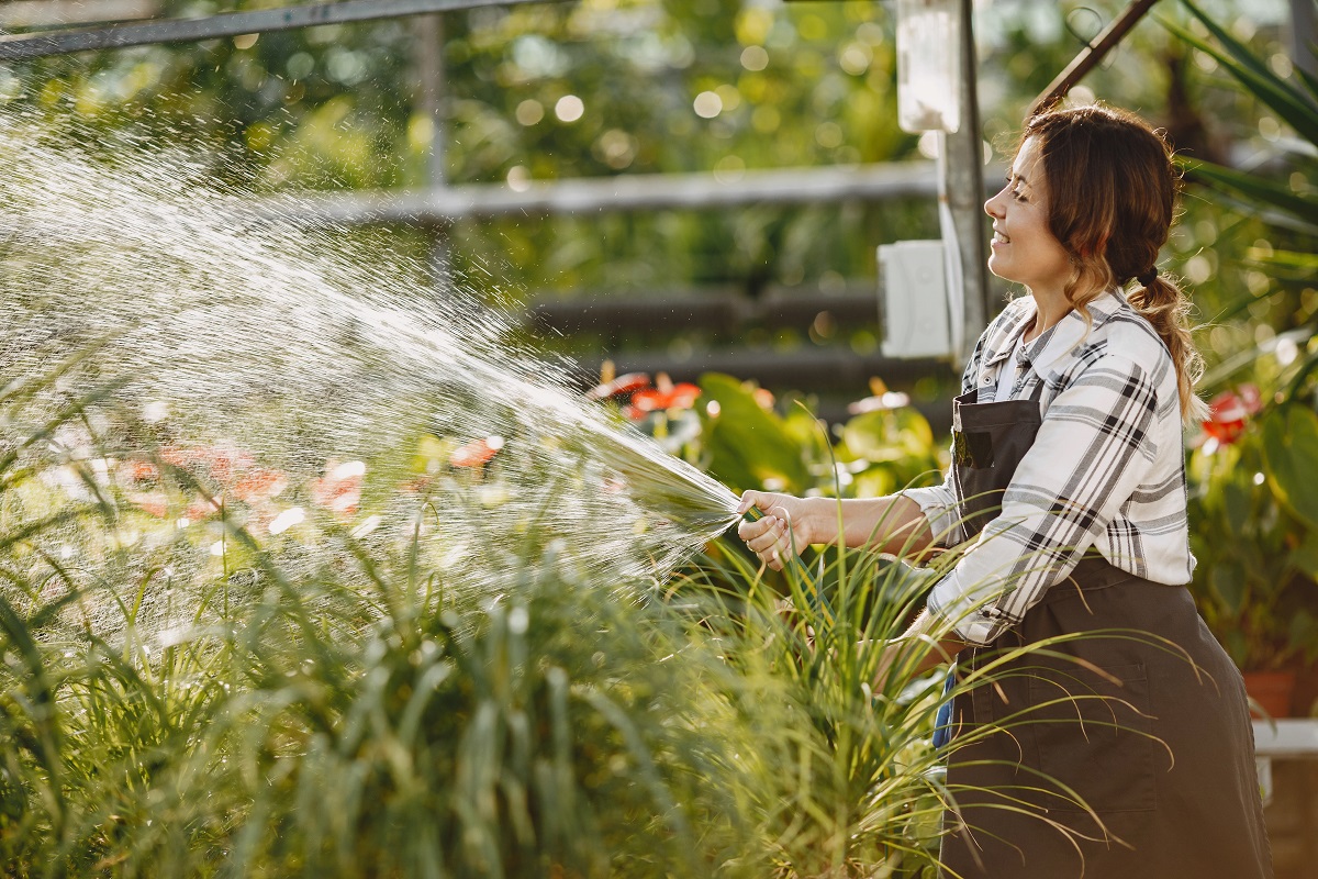 How to Build an Efficient Irrigation System for Small Farms and Gardens