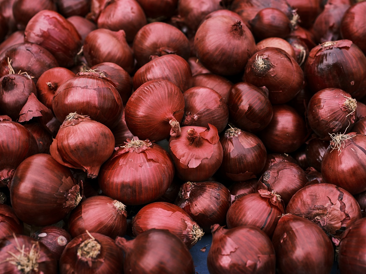 How to Grow Onions: A Complete Guide