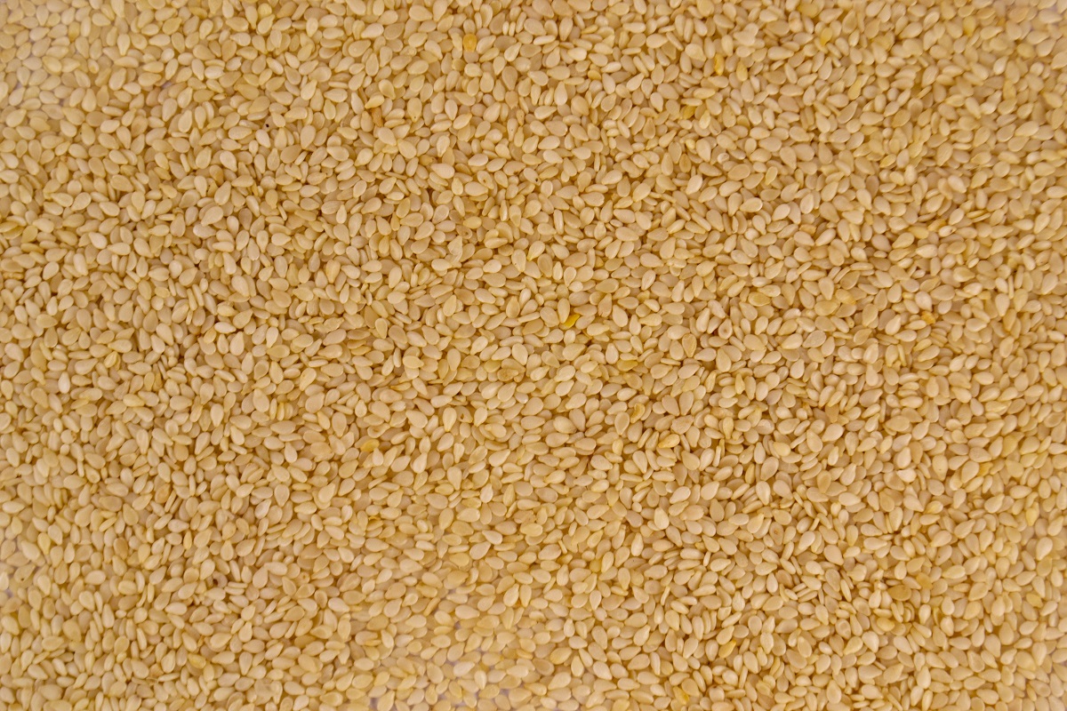 How to Cultivate Sesame: Complete Growing Guide for American Farmers