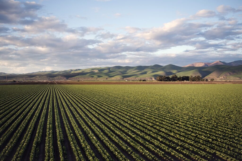 Side-by-side comparison of protected soil under cover crops versus bare eroded soil