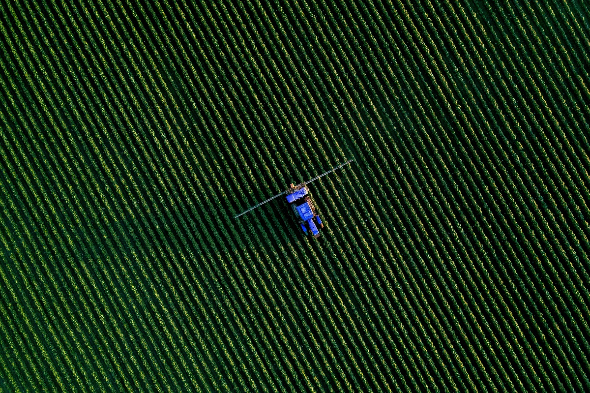 Green Manure Farming: How to Use Cover Crops for Natural Soil Fertilization