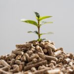 Complete Guide to Crop Fertilizers: Types, Selection, and Application Strategies