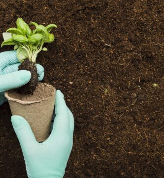 Complete Guide to Garden Fertilization: Techniques, Types, and Soil Fertility Management